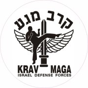 adesivo-krav-maga-10-pecas-D_NQ_NP_802766-MLB31012018372_062019-F